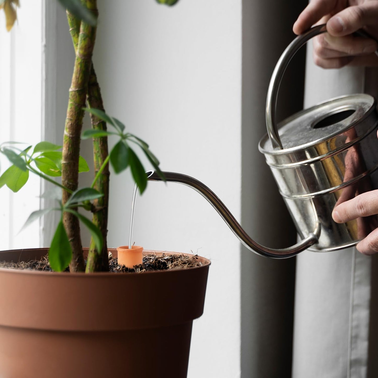 Ollas 8pcs 3.1 * 6inch Watring Can Pot Terracotta Self Watering Planter Insert Vacation Plant Care Olla Watering Terra Cotta Clay Irrigation Globes