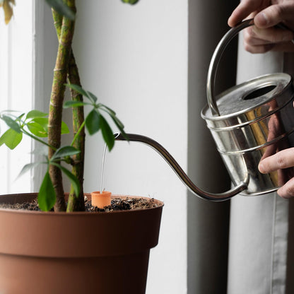 Ollas 8pcs 3.1 * 6inch Watring Can Pot Terracotta Self Watering Planter Insert Vacation Plant Care Olla Watering Terra Cotta Clay Irrigation Globes