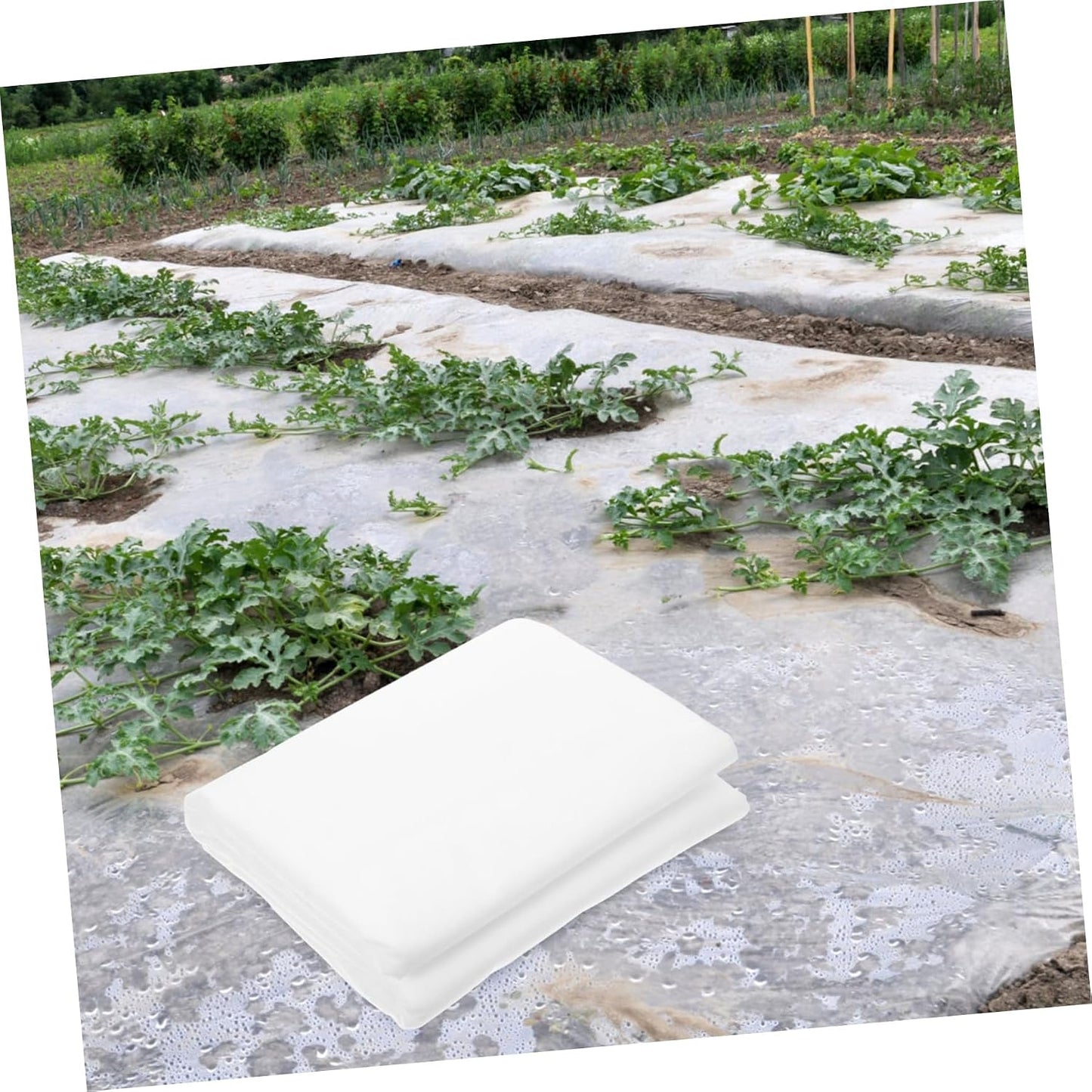 Cold Weather Plant Blanket Cover Nonwoven Shrub Frost Protection Winter Plant Safety Floating Row Cover Outdoor Vegetable Insulation
