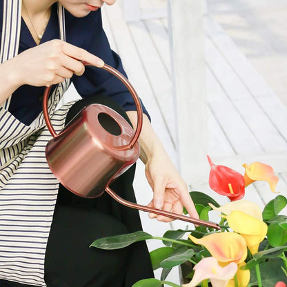 Remiawy Watering Can Indoor Outdoor Stainless Steel Watering Cans for House Plants Long Spout Water Can for Succulent Bonsai Garden Flower(40oz/1300ml)
