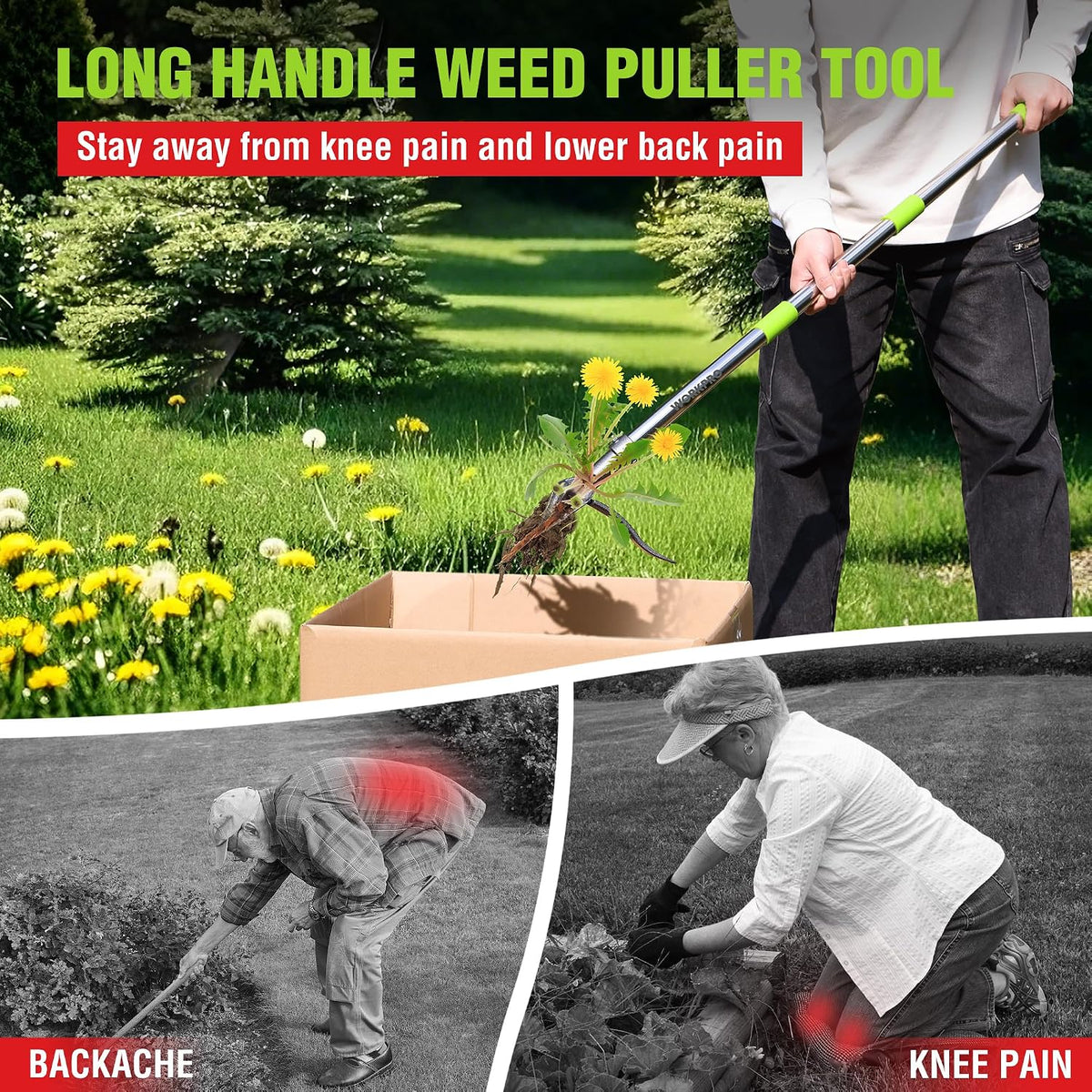 Weed Puller Tool with Long Adjustable Handle (33", 46")