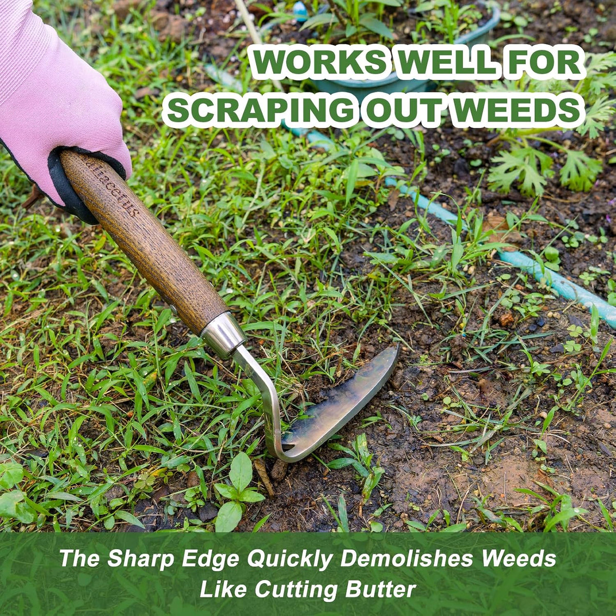 Gardening Sickle Hoe, 13'' Japanese Bent Angle Weeding Sickle