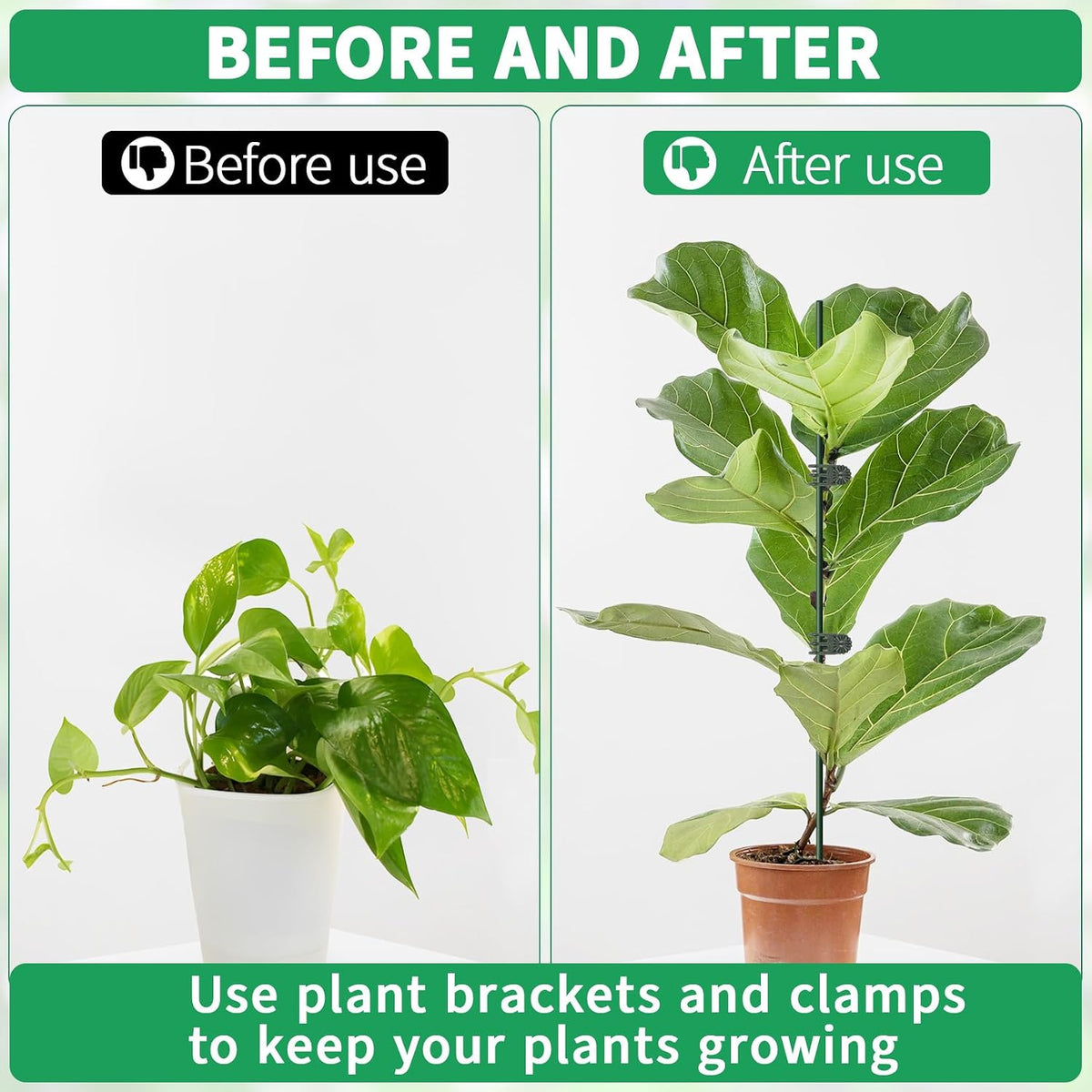 10pcs 15.7" Plant Stakes with 15pcs Clips, Bendable Orchid Stakes and Clips Set Support Tall for Indoor/Outdoor Plants,Potted Plants,Single Stem Vines Flower Plant Support Sticks for Orchid Rose Peony