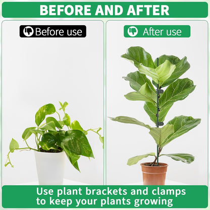 10pcs 15.7" Plant Stakes with 15pcs Clips, Bendable Orchid Stakes and Clips Set Support Tall for Indoor/Outdoor Plants,Potted Plants,Single Stem Vines Flower Plant Support Sticks for Orchid Rose Peony