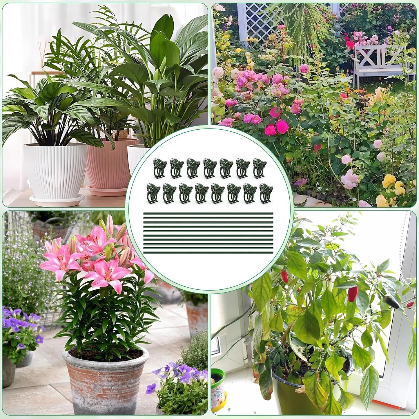 10pcs 15.7" Plant Stakes with 15pcs Clips, Bendable Orchid Stakes and Clips Set Support Tall for Indoor/Outdoor Plants,Potted Plants,Single Stem Vines Flower Plant Support Sticks for Orchid Rose Peony