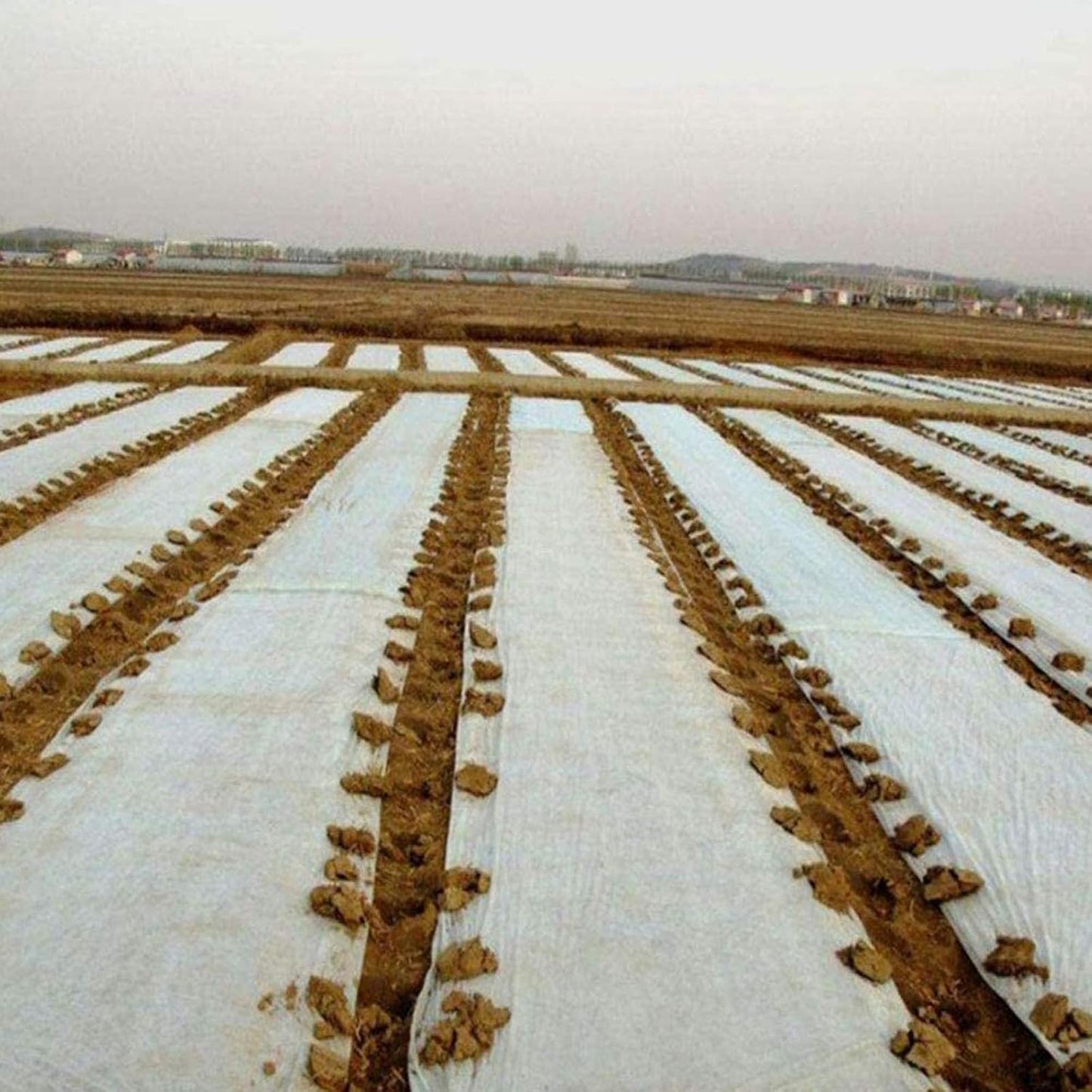 Floating Row Cover- 8.2x32.8ft Frost Blanket 0.6oz Garden Row Covers- Garden Blanket Fabric Plant Cover Protects Outdoor Plants Vegetables from Frost, Sun Insects Harsh Weather