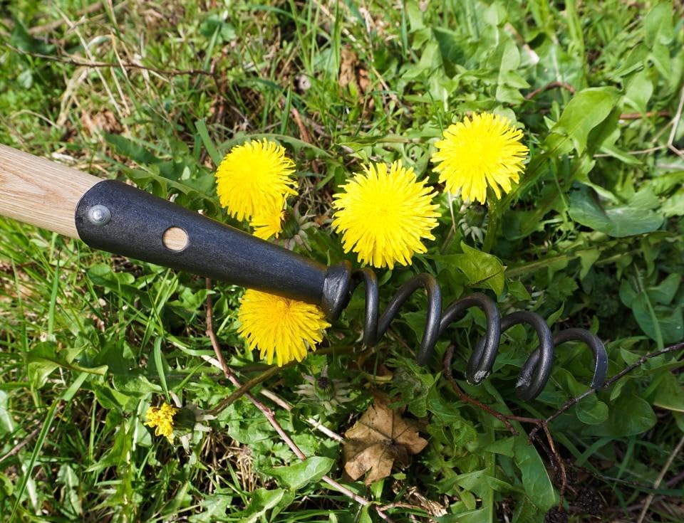DeWit Corkscrew Weeder – Tempered Boron Steel Root Remover Tool – 22.25” Long with T-Handle – Chemical-Free Dandelion Puller & Compost Aerator – Handcrafted Garden Tool