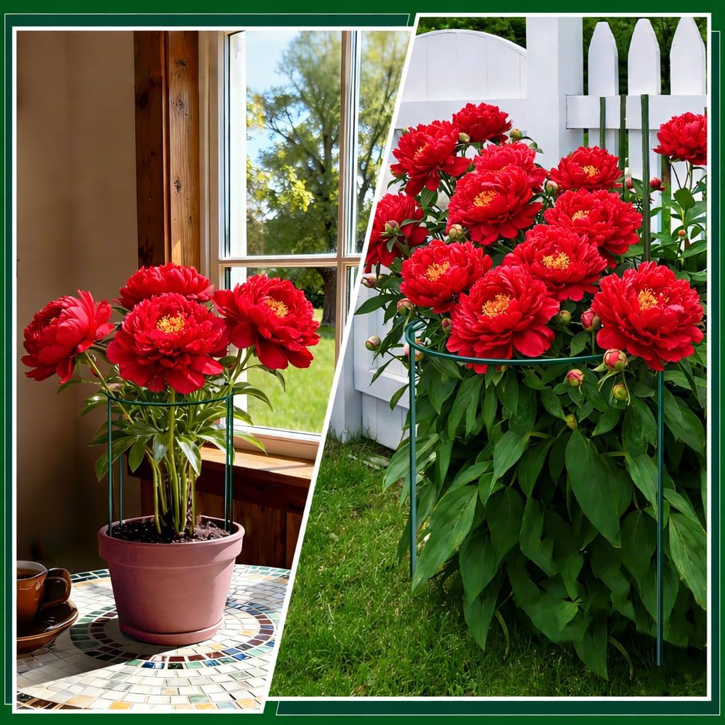 8 Pack Peony Support Cages, 10" W x 16" H Half Round Peony Plant Supports, Heavy Duty Metal Plant Support Stakes, Green Garden Plant Support Rings for Peony, Hydrangea,Tomato & Flowers