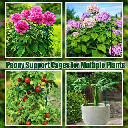 8 Pack Peony Support Cages, 10" W x 16" H Half Round Peony Plant Supports, Heavy Duty Metal Plant Support Stakes, Green Garden Plant Support Rings for Peony, Hydrangea,Tomato & Flowers