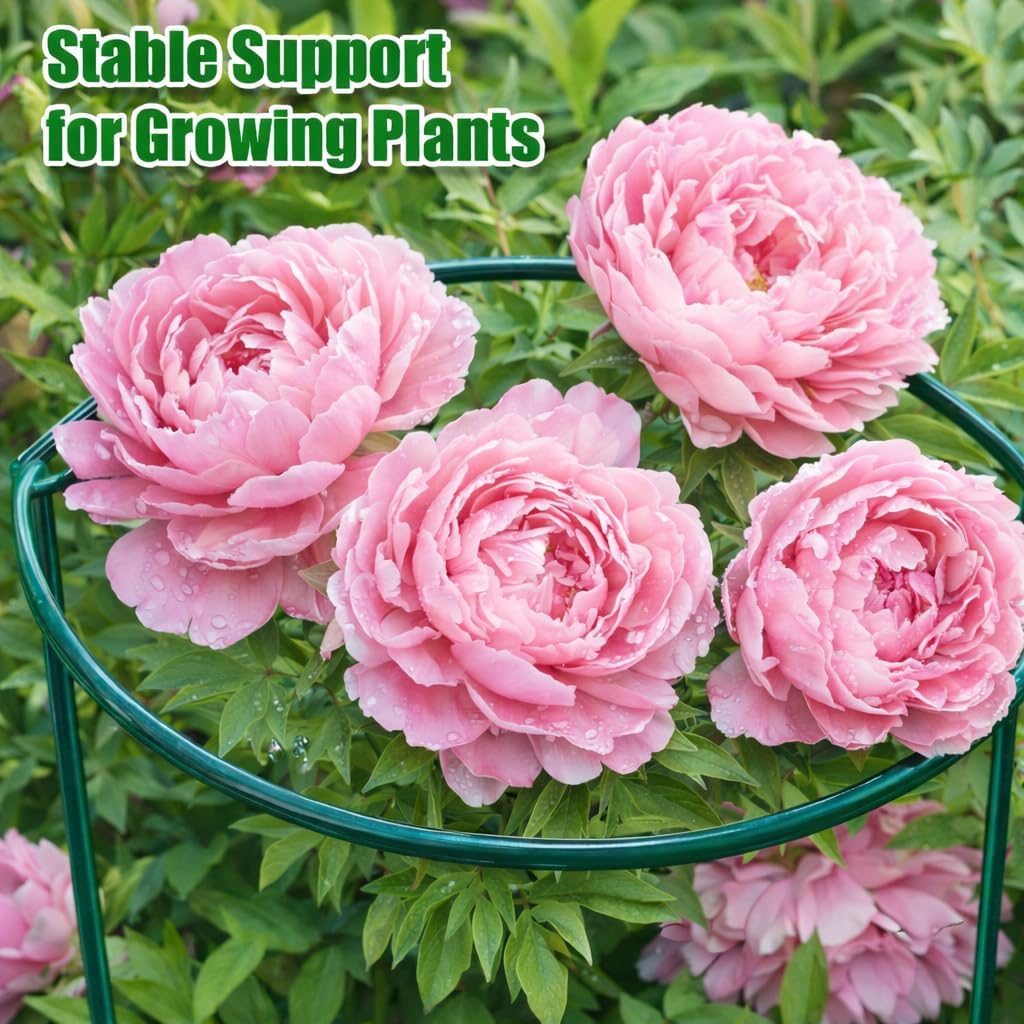 8 Pack Peony Support Cages, 10" W x 16" H Half Round Peony Plant Supports, Heavy Duty Metal Plant Support Stakes, Green Garden Plant Support Rings for Peony, Hydrangea,Tomato & Flowers