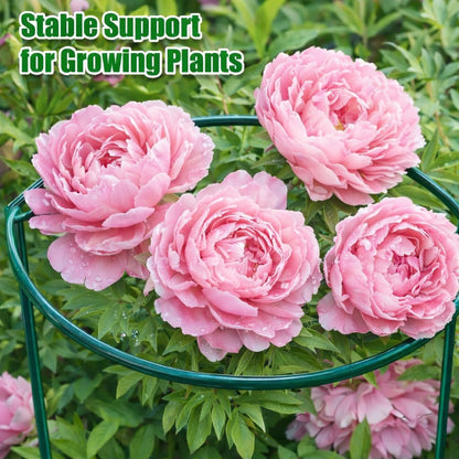 8 Pack Peony Support Cages, 10" W x 16" H Half Round Peony Plant Supports, Heavy Duty Metal Plant Support Stakes, Green Garden Plant Support Rings for Peony, Hydrangea,Tomato & Flowers