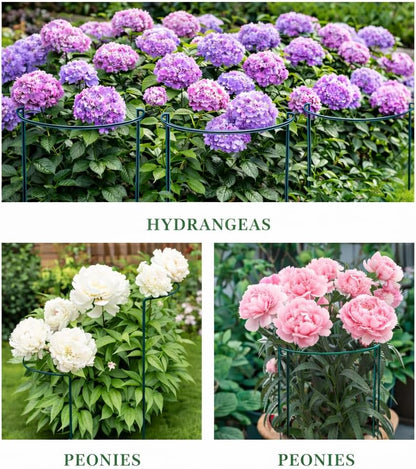 8 Pack Peony Support Cages, 10" W x 16" H Half Round Peony Plant Supports, Heavy Duty Metal Plant Support Stakes, Green Garden Plant Support Rings for Peony, Hydrangea,Tomato & Flowers