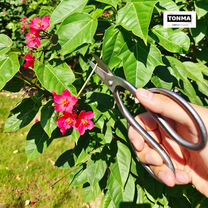 TONMA Ashinaga Bonsai Scissors 8 Inches, Made in Japan, TGS-3