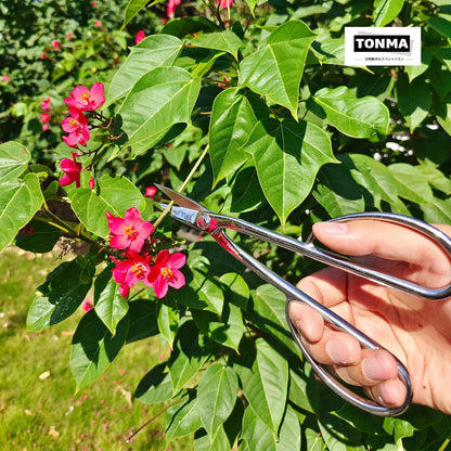 TONMA Ashinaga Bonsai Scissors 8 Inches, Made in Japan, TGS-3