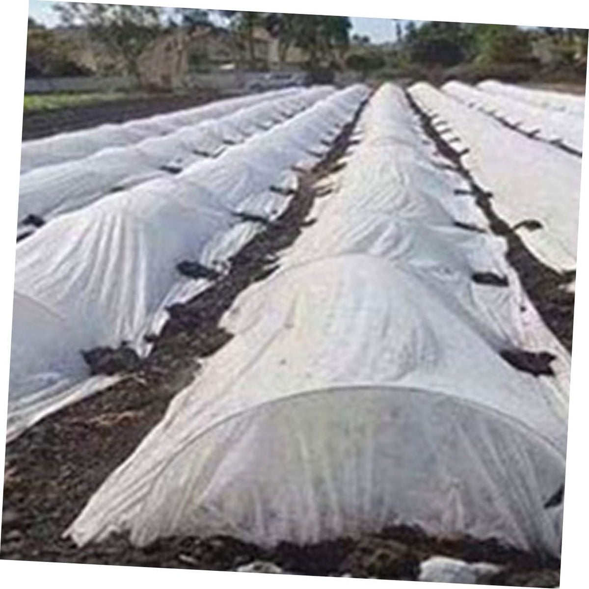 Warm Plant Protecting Non Woven Fabric Cover for Winter Shrub Protection Reusable Floating Row Cover for Vegetables Frost Blankets for Outdoor Plants