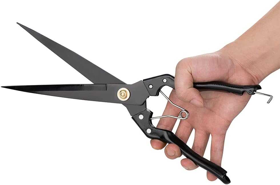 Hand Shears for Gardening or Sheep Shearing - Manganese Stainless Steel Topiary/hedge scissors for Pruning GD-010-S