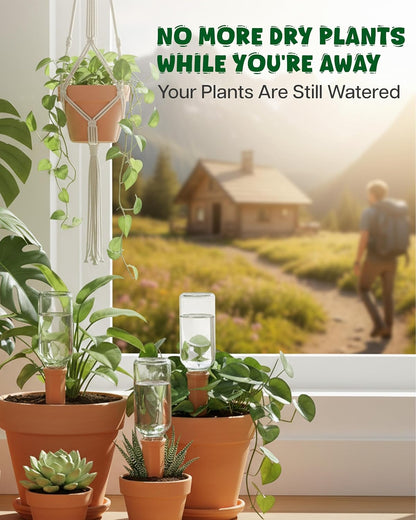 Iridescent Self Watering Globes, Glass Rainbow Plant Watering Globes, Self Watering Planter Insert, Automatic Plant Waterer Indoor (Medium-2 Pcs Iridescent, Medium)