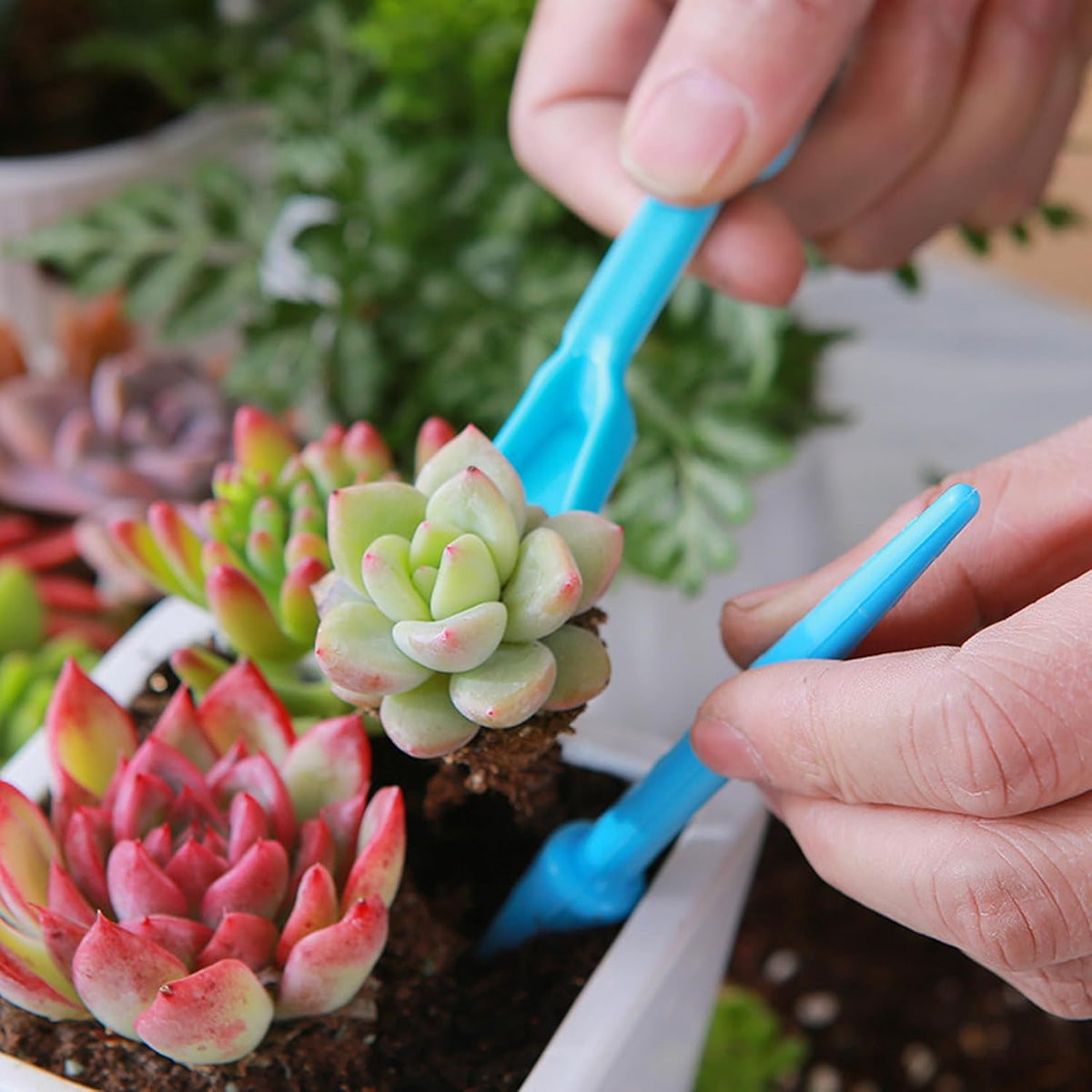 Soil Scoop for Indoor Plants - Plastic Mini Garden Plant Care Shovel Hand Tools Transplanting Succulent Cultivation Digging Scoops Kits, Blue