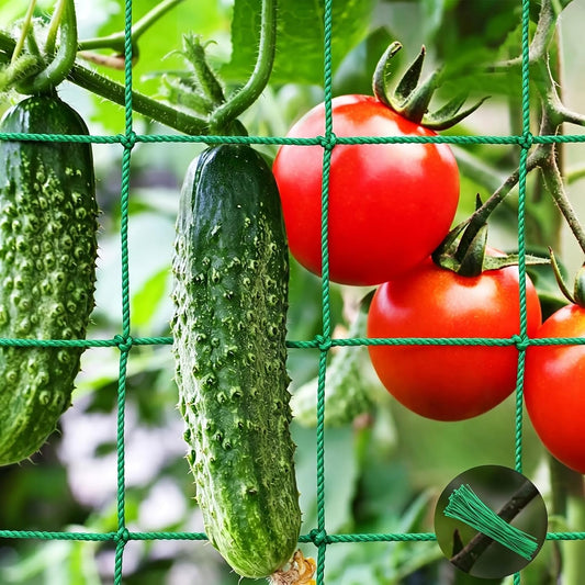 Trellis Netting, 8.2 x 6.6Ft Garden Netting