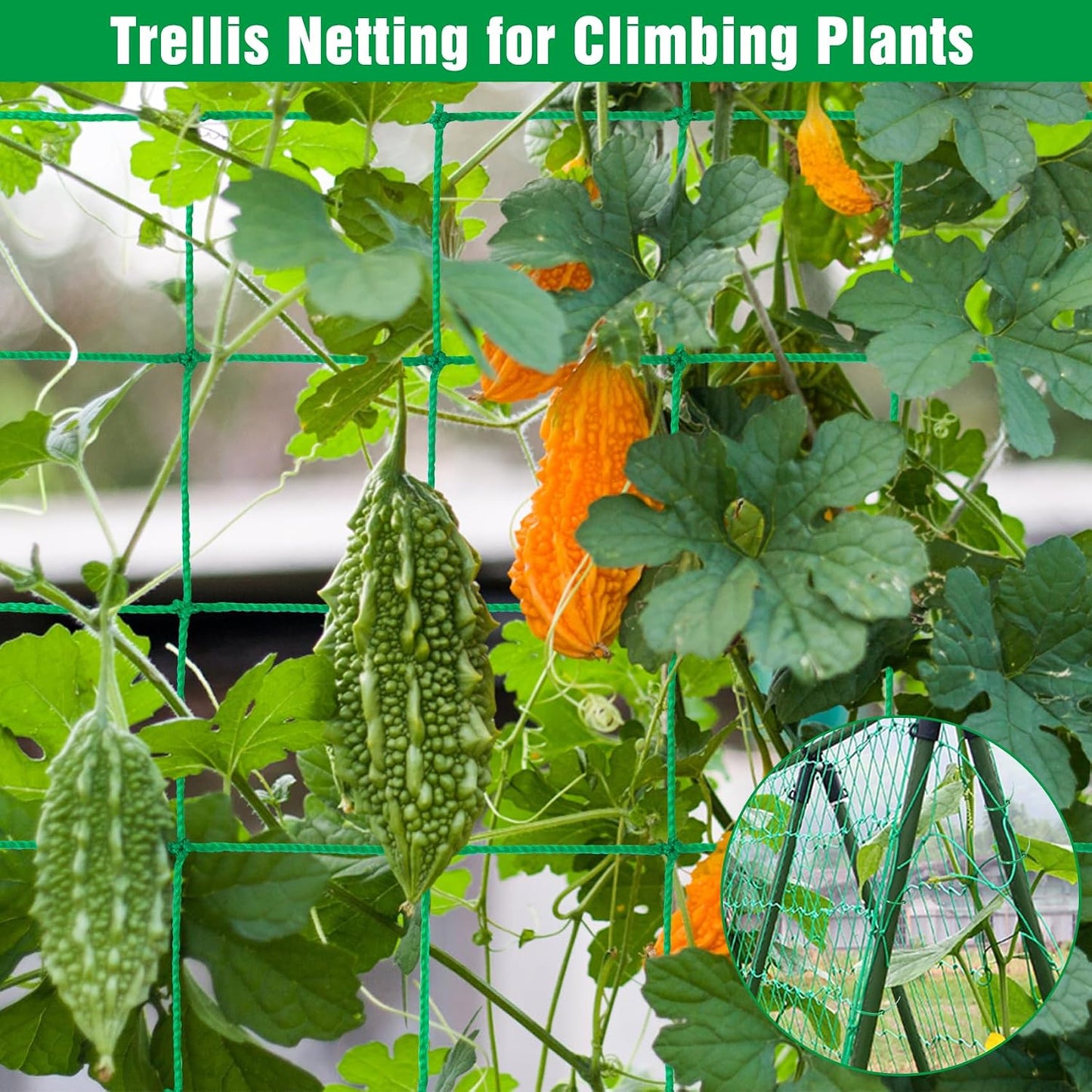 Trellis Netting, 8.2 x 6.6Ft Garden Netting