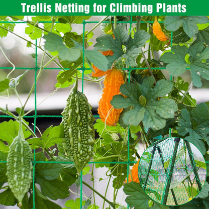 Trellis Netting, 8.2 x 6.6Ft Garden Netting