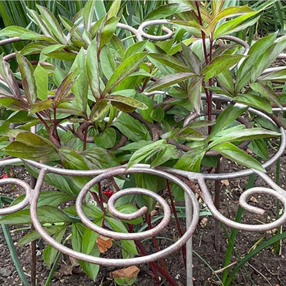 Peonies Cages and Supports, Plant Supports for Outdoor Plants, Metal Plant Support Ring for Garden, Flower Hoop for Upright and Protection, for Lawn Patio Garden (Large)
