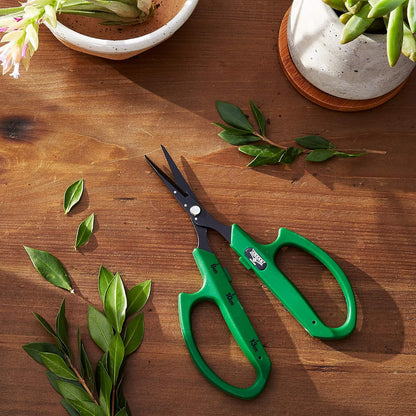Stainless Steel Bonsai Scissors, 2.4" Straight Blades - Platinum Series