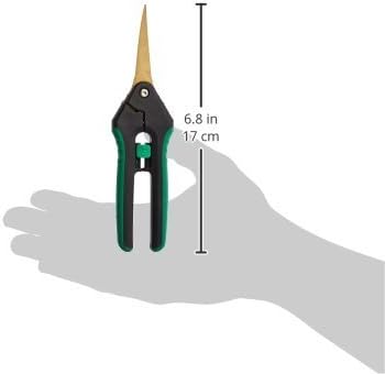Stainless Steel Bonsai Scissors, 2.4" Straight Blades - Platinum Series