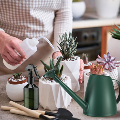 6 Pcs Indoor Watering Can Set 1/2 Gallon Can 6.8 oz Spray Bottle 17 oz Squeeze Bottle Plant Watering Globes Soil Moisture Meter Small Spraying Set for Indoor Outdoor Plants(Mint Green)