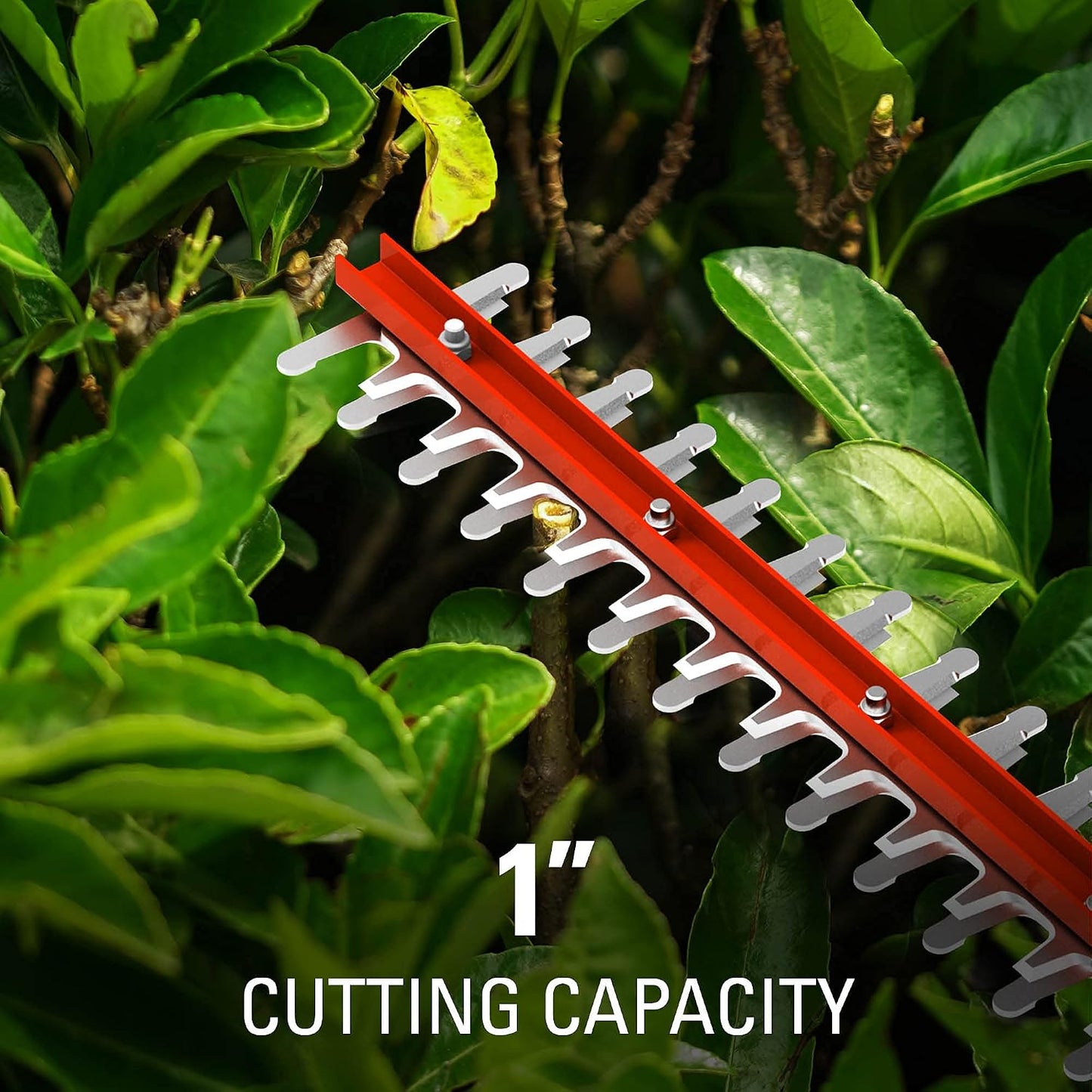 40V 26 in Cordless Hedge Trimmer, Tool Only