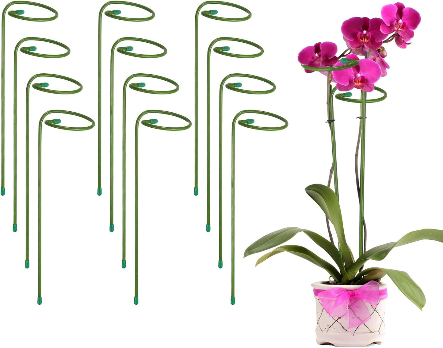 12pcs Plant Support Stakes, 10inch Single Stem Stakes Garden Plant Cage Support Rings for Orchid Rose Tomato Peony Flowers