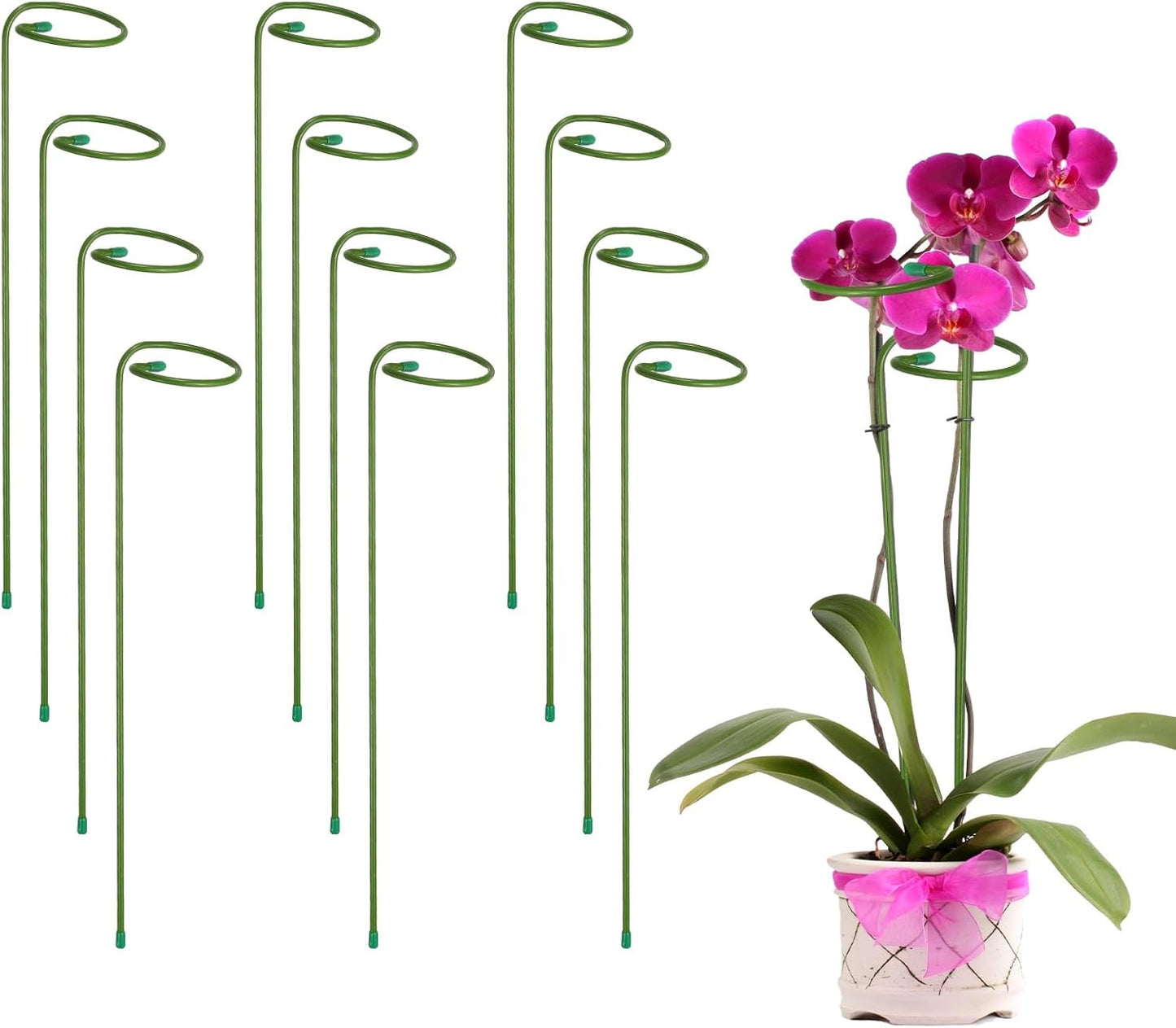 12pcs Plant Support Stakes, 10inch Single Stem Stakes Garden Plant Cage Support Rings for Orchid Rose Tomato Peony Flowers