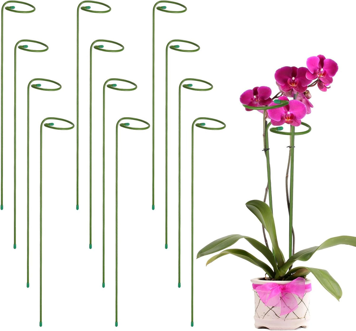12pcs Plant Support Stakes, 10inch Single Stem Stakes Garden Plant Cage Support Rings for Orchid Rose Tomato Peony Flowers
