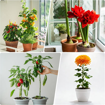 5Pcs 17.7 Plant Support Stakes with 10Pcs Plant Clips Metal Garden Single Stem Flower Support Sticks Plants Cage Support Ring for Peony Rose Tomato Sunflower