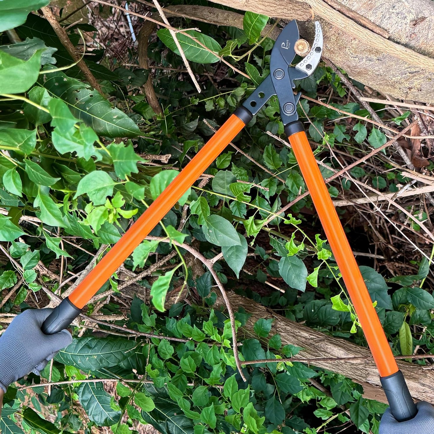 Anvil Lopper 29 Inch with Geared Sync Drive, Pruners for Gardening and Tree Trimmer, Branch Cutter Heavy Duty for 2 Inch Cutting Capacity, Chops with Ease