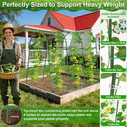 Cucumber Trellis for Raised Bed Garden, Arch Trellis for Climbing Plants