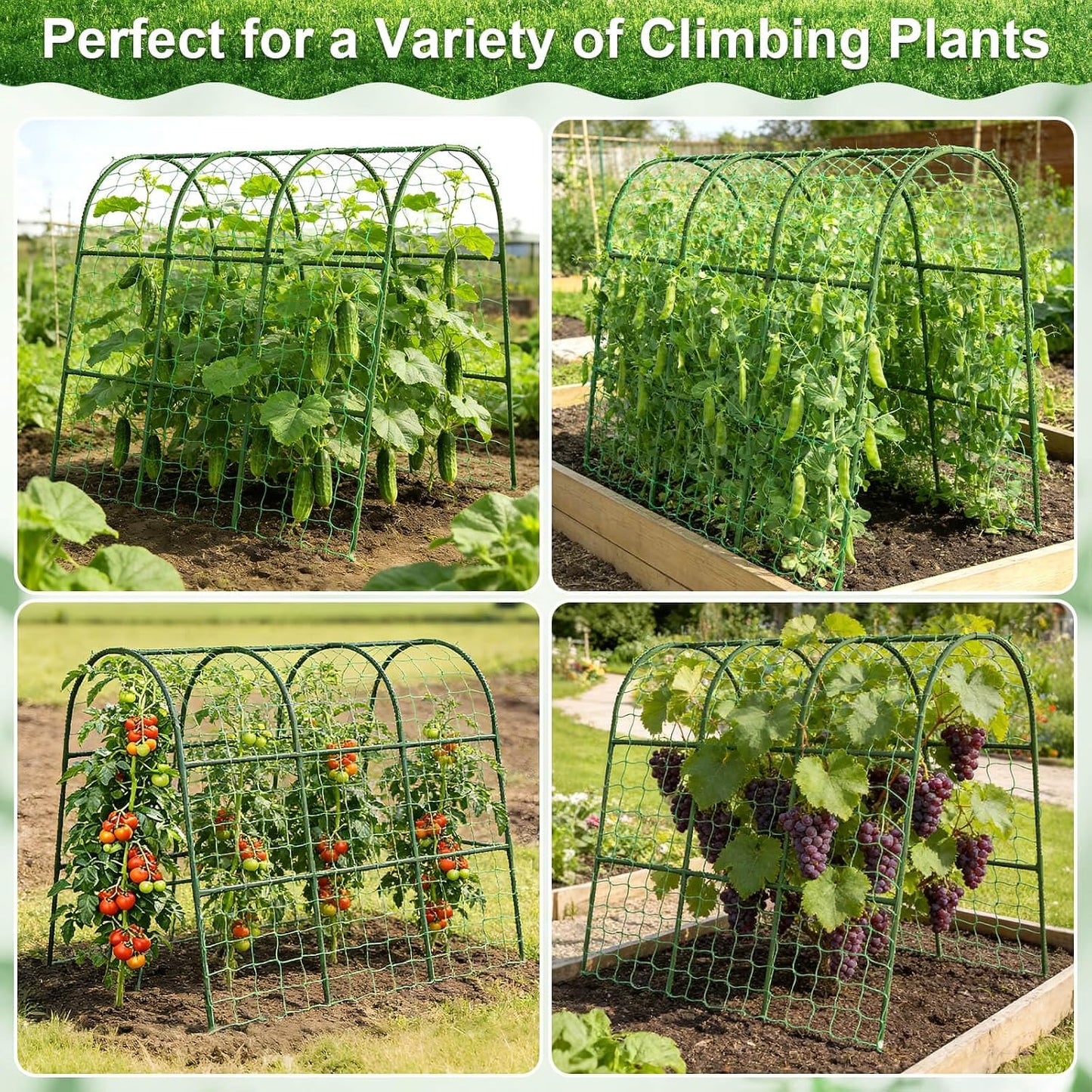 Cucumber Trellis for Raised Bed Garden, Arch Trellis for Climbing Plants