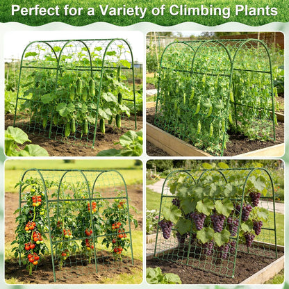 Cucumber Trellis for Raised Bed Garden, Arch Trellis for Climbing Plants