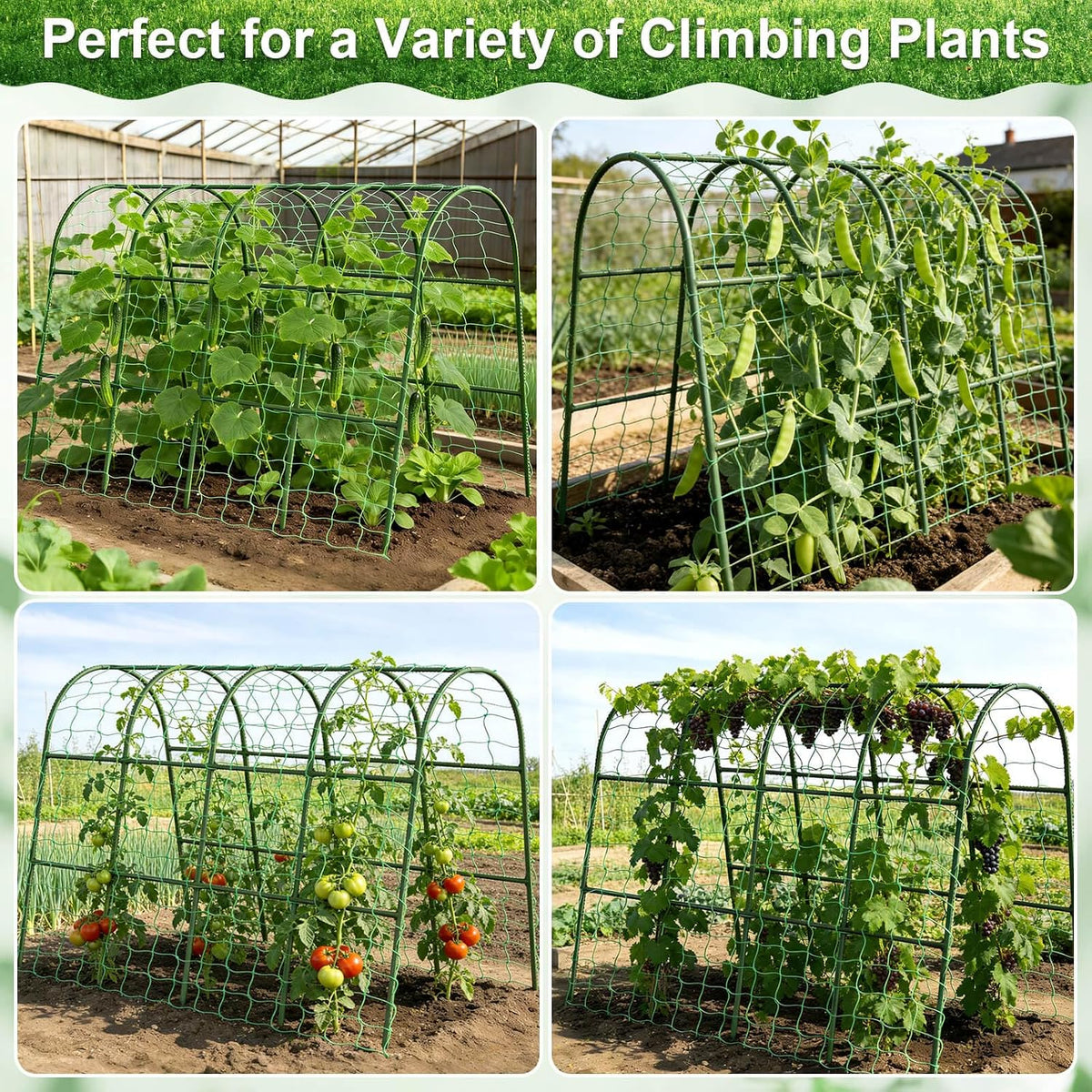 Cucumber Trellis for Raised Bed Garden, Arch Trellis for Climbing Plants