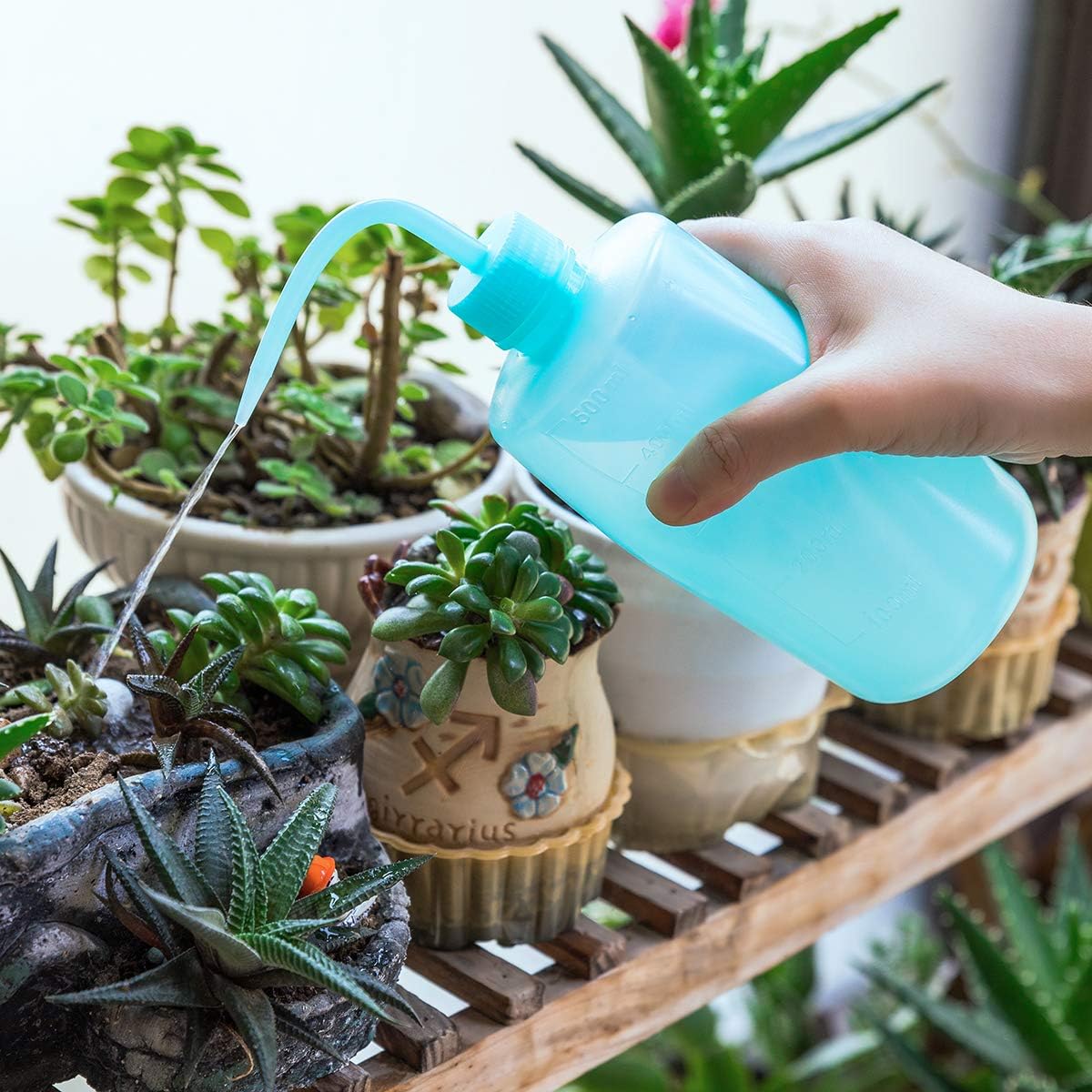 Oubest Squeeze Washing Bottle Succulent Watering Bottle 250ml + 500ml Water Squirt Irrigation Squeeze Sprinkling Can Plastic Wash Plant 2pc