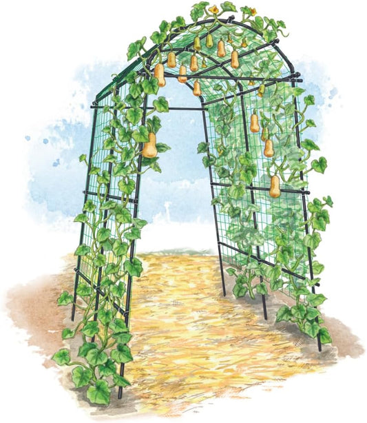 Extra Tall Garden Arch Arbor | 80 Inch Tall Titan Squash Tunnel | Lightweight Metal, Trellis Plant Stand for Climbing Vines | Outdoor Lawn Tower & Support Structure