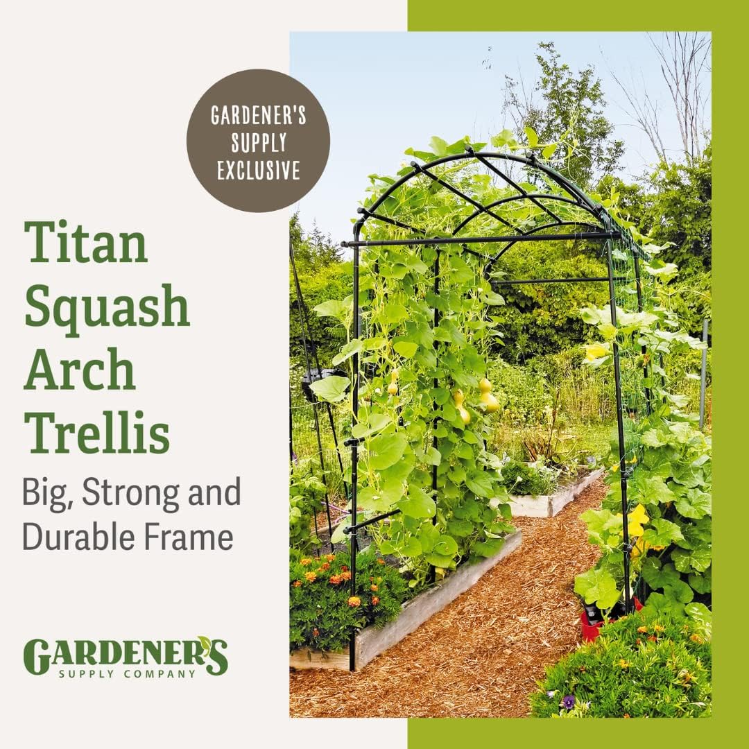 Extra Tall Garden Arch Arbor | 80 Inch Tall Titan Squash Tunnel | Lightweight Metal, Trellis Plant Stand for Climbing Vines | Outdoor Lawn Tower & Support Structure