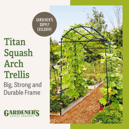 Extra Tall Garden Arch Arbor | 80 Inch Tall Titan Squash Tunnel | Lightweight Metal, Trellis Plant Stand for Climbing Vines | Outdoor Lawn Tower & Support Structure