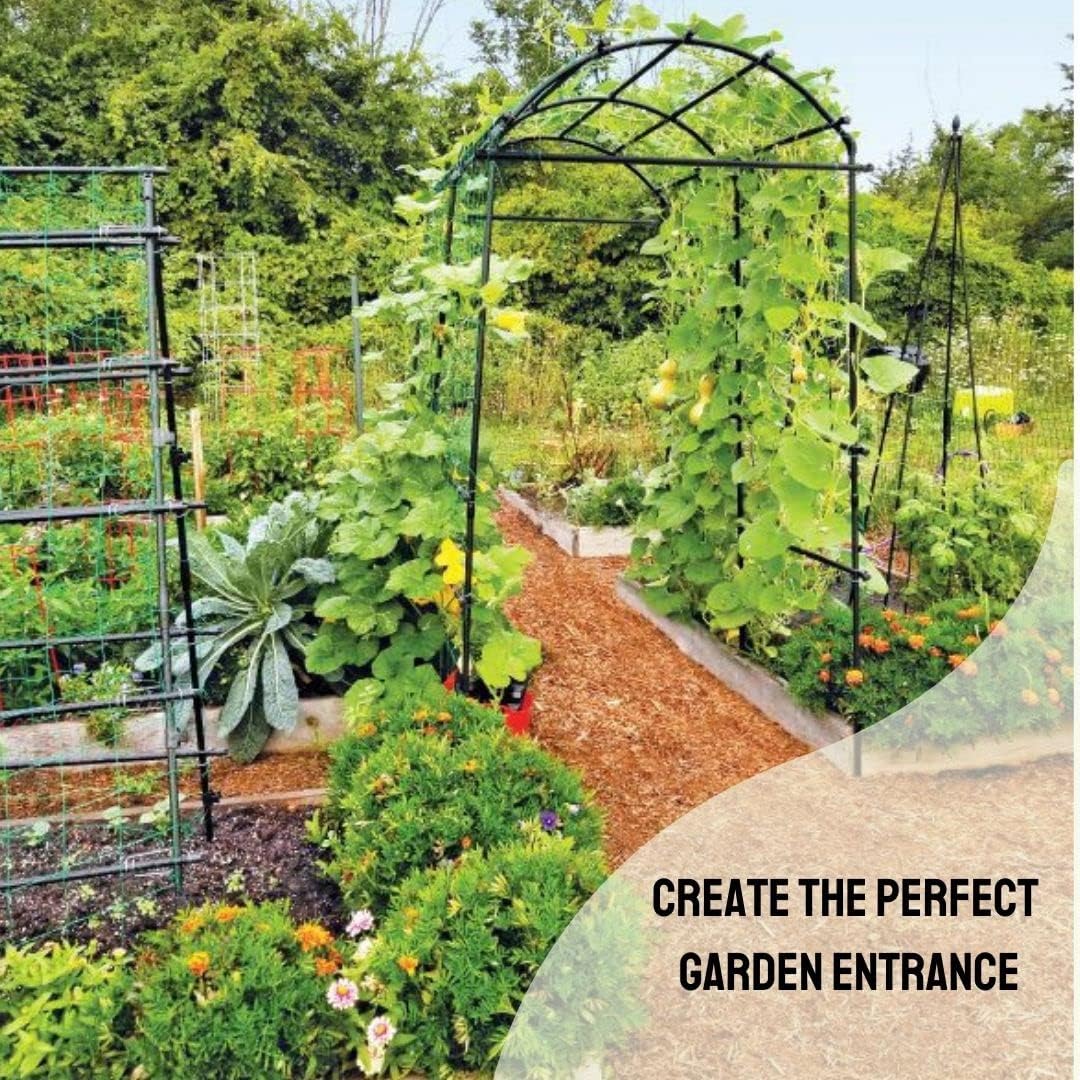 Extra Tall Garden Arch Arbor | 80 Inch Tall Titan Squash Tunnel | Lightweight Metal, Trellis Plant Stand for Climbing Vines | Outdoor Lawn Tower & Support Structure