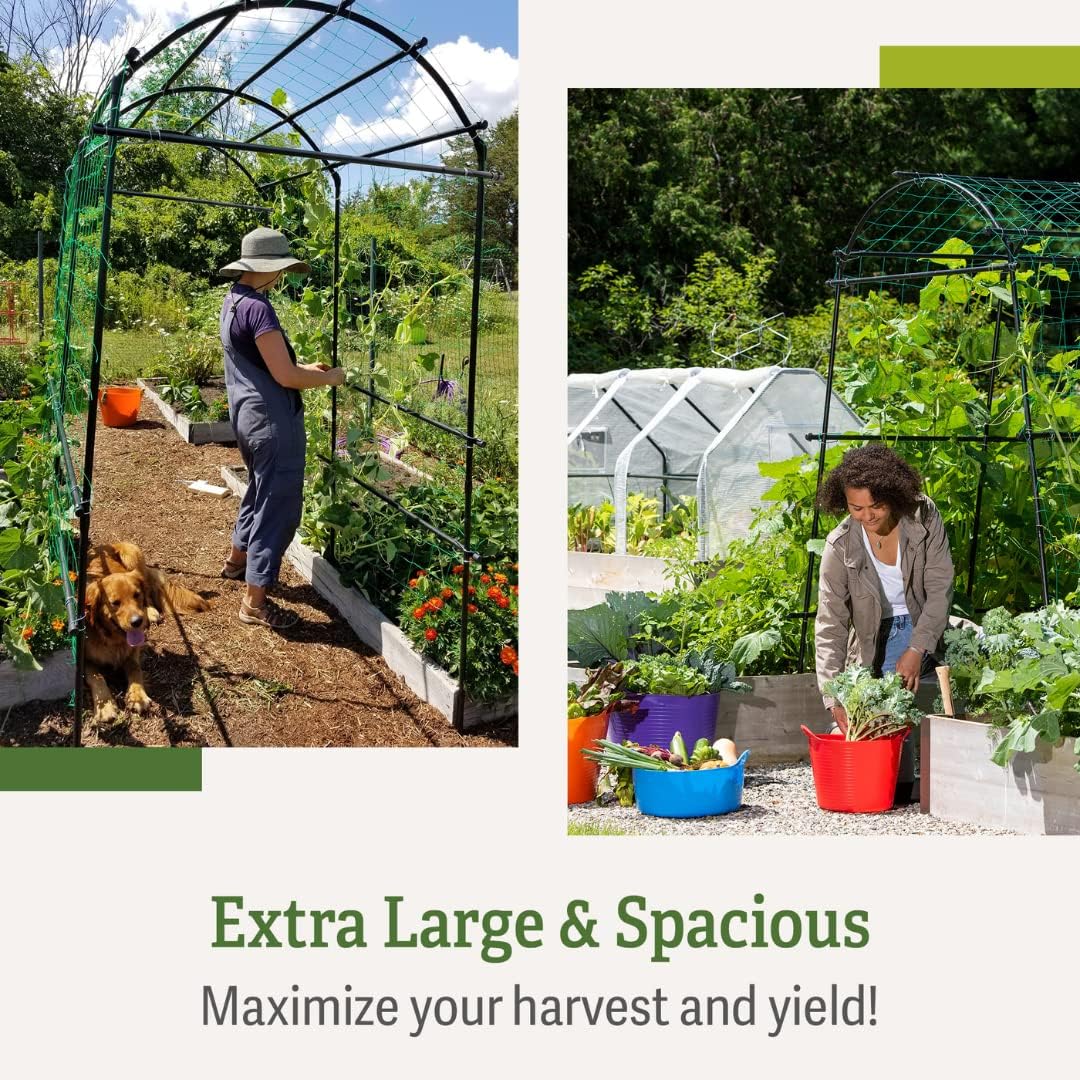 Extra Tall Garden Arch Arbor | 80 Inch Tall Titan Squash Tunnel | Lightweight Metal, Trellis Plant Stand for Climbing Vines | Outdoor Lawn Tower & Support Structure