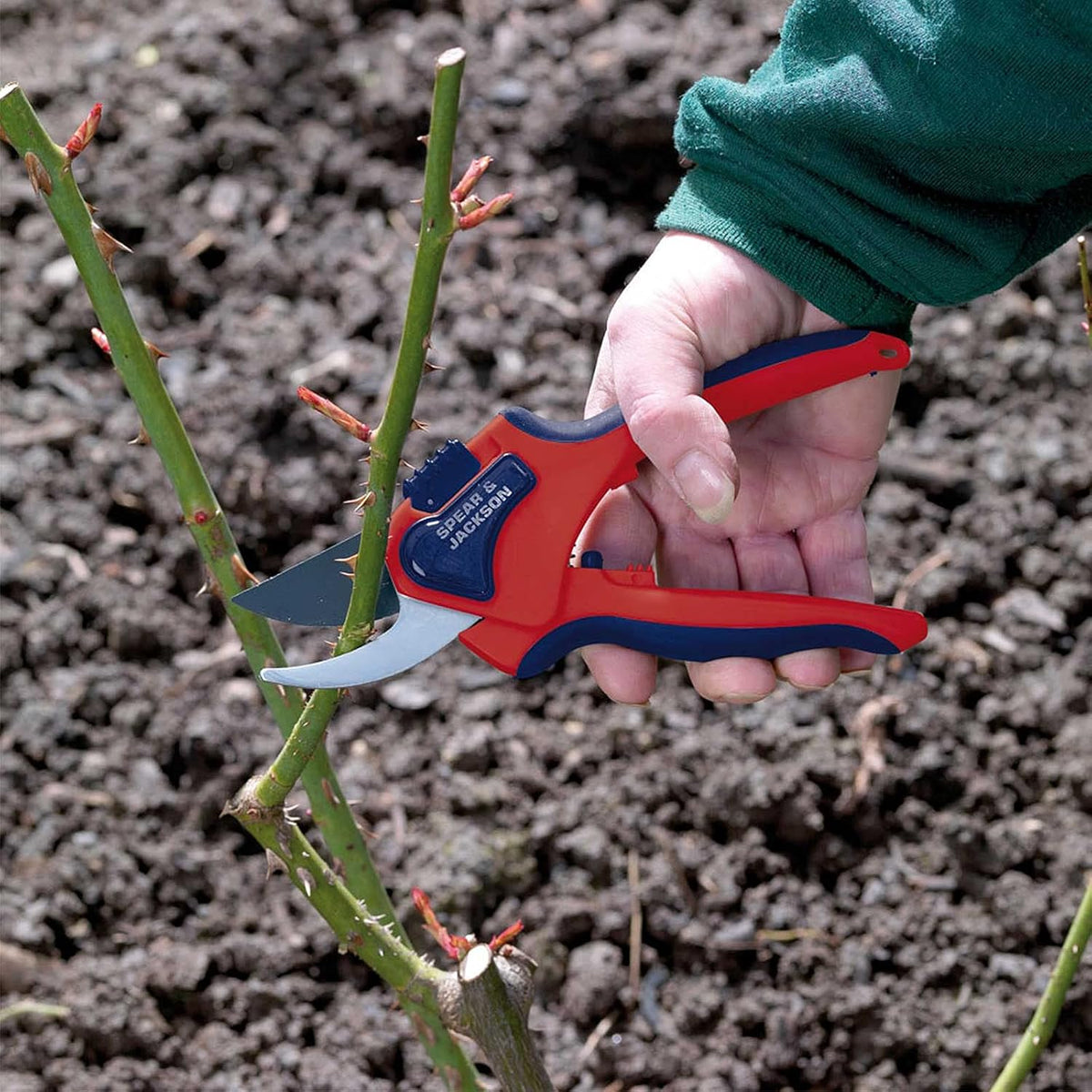 6059BS Razorsharp Advantage Medium Bypass Pruning Shears