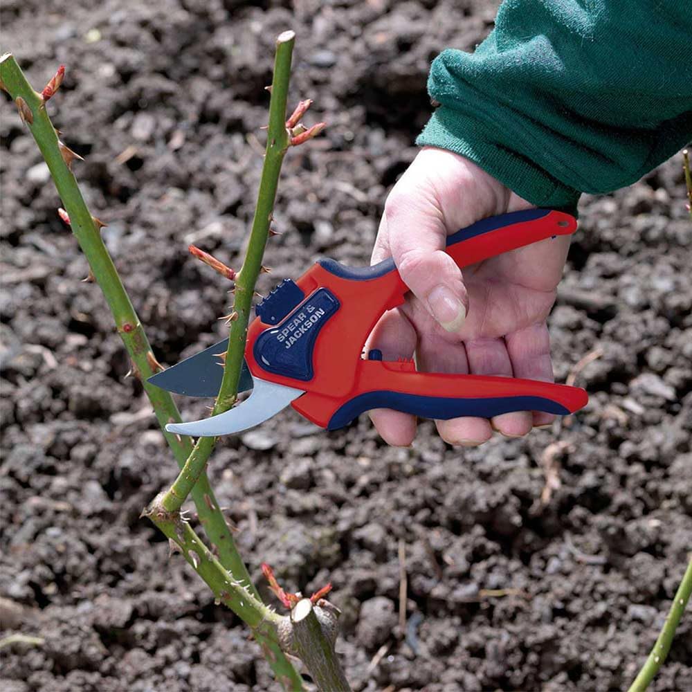 6059BS Razorsharp Advantage Medium Bypass Pruning Shears