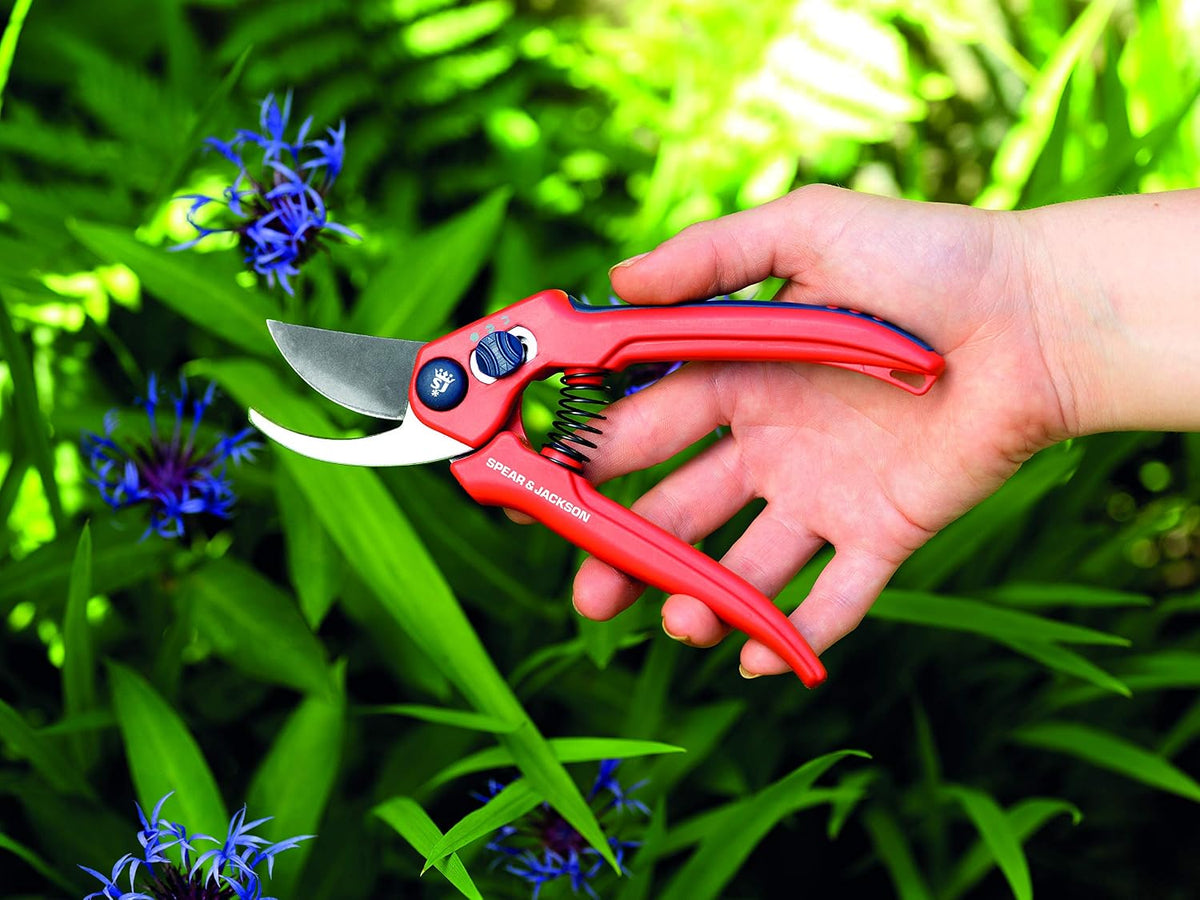 6059BS Razorsharp Advantage Medium Bypass Pruning Shears