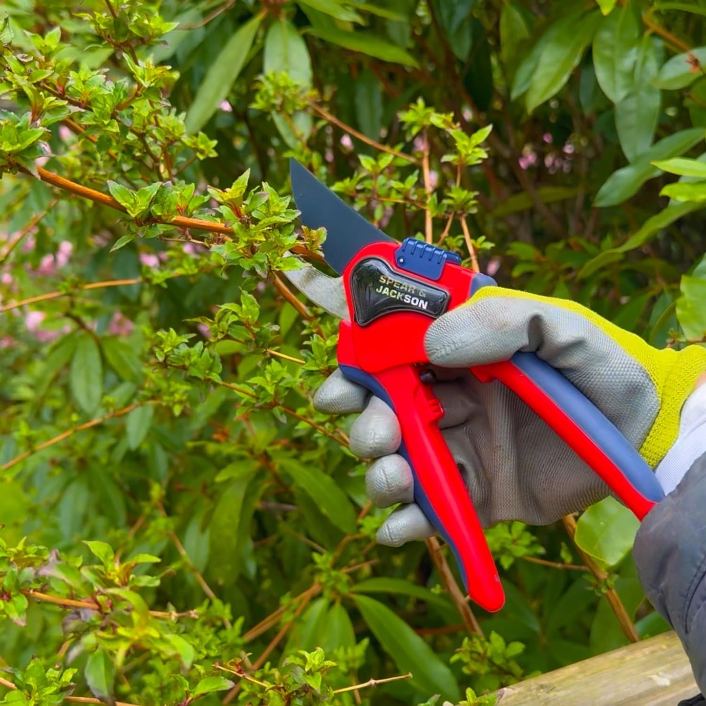 6059BS Razorsharp Advantage Medium Bypass Pruning Shears