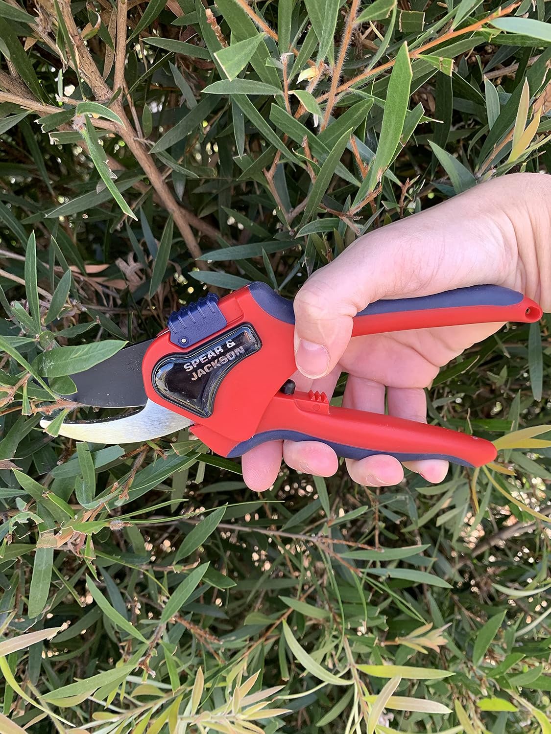 6059BS Razorsharp Advantage Medium Bypass Pruning Shears